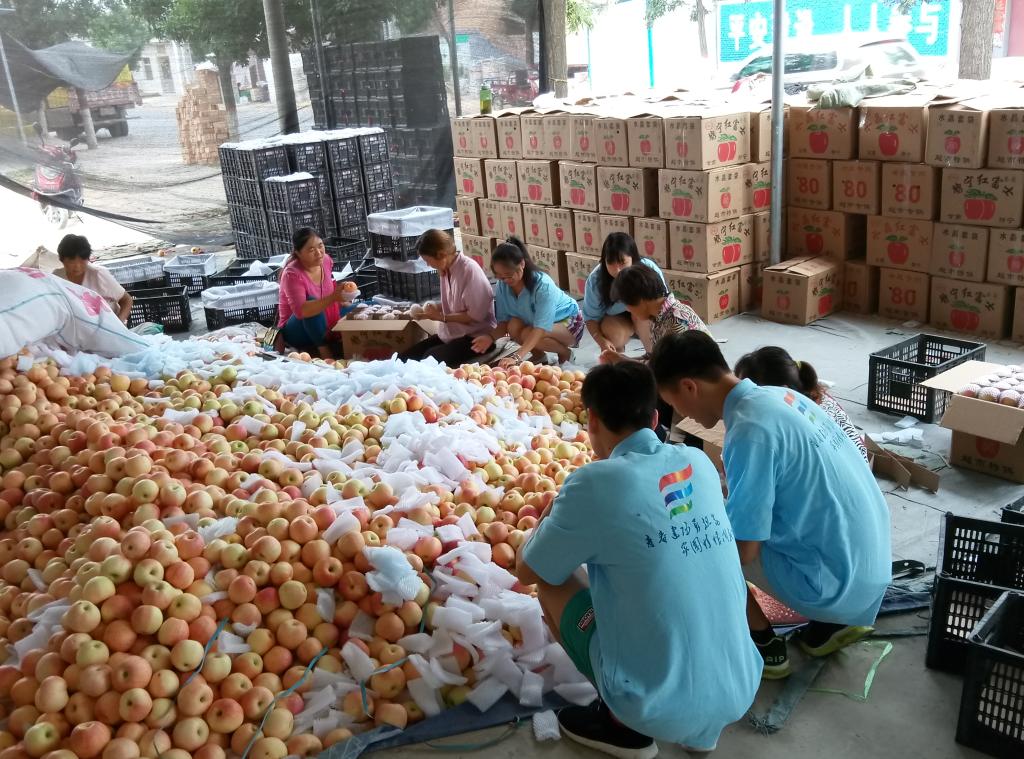 员工社会实践